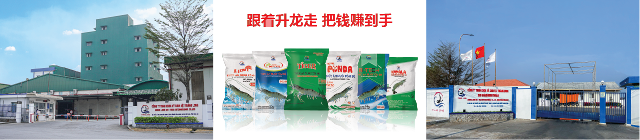 14490_banner-website_ts_cn-011.png