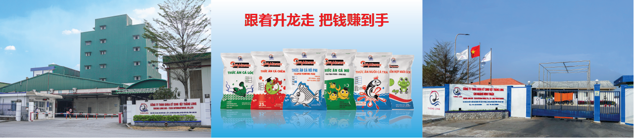 2312_banner-website_fish_cn-011.png