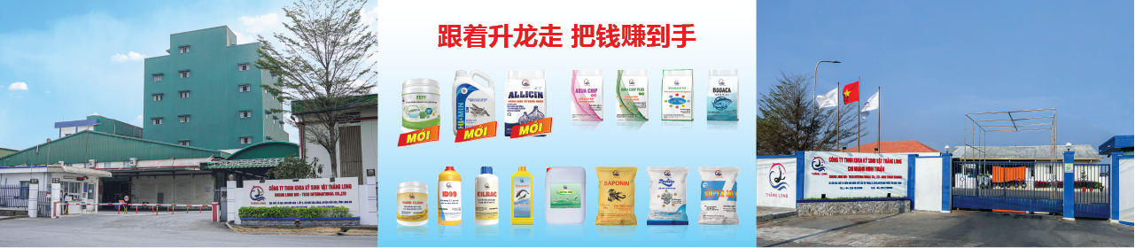 29033_banner-website_cpsh_cn-011.png