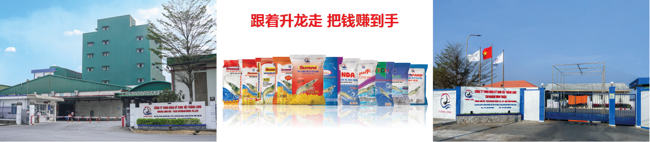 8206_banner-website_tt_cn-011.png